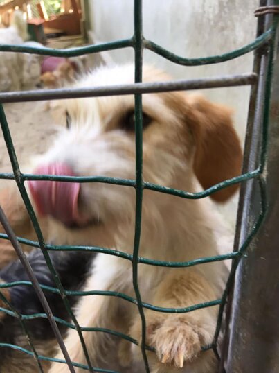 RITROVATA! GRAZIE A TUTTI