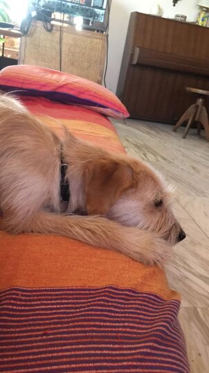 RITROVATA! GRAZIE A TUTTI