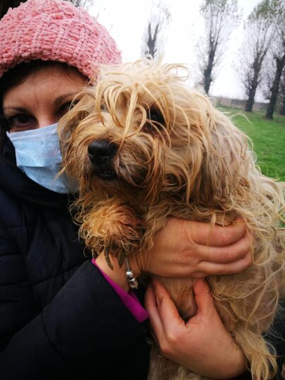 ADOTTATO! Maschio, nato a ottobre 2016, taglia piccola.