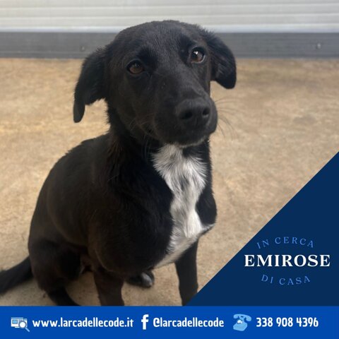 9bd6c882-4dd2-4b48-9cbc-69969599e3e0