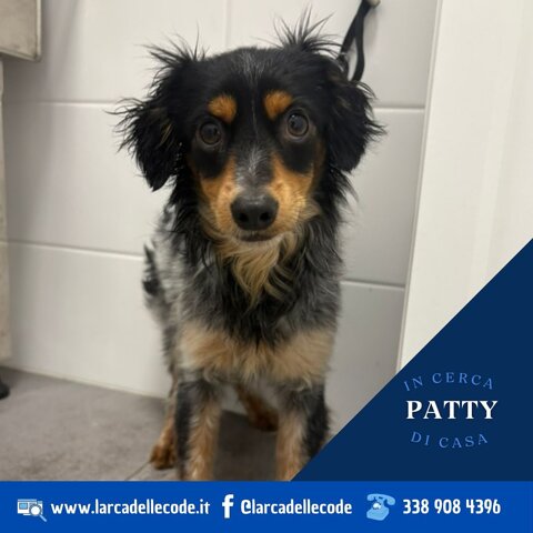 cfe561b3-1d1c-41e7-a0f8-870911cb93ac