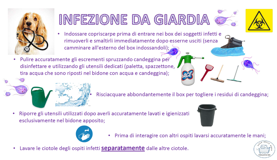 4b7a171f-bbb7-4333-86ca-98064a1eb8c1