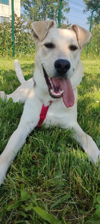 img_20250430_095052.jpeg img_20250430_095052.jpeg