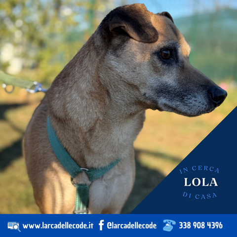 7dbadc73-448b-4673-98d4-7d3dac66833b