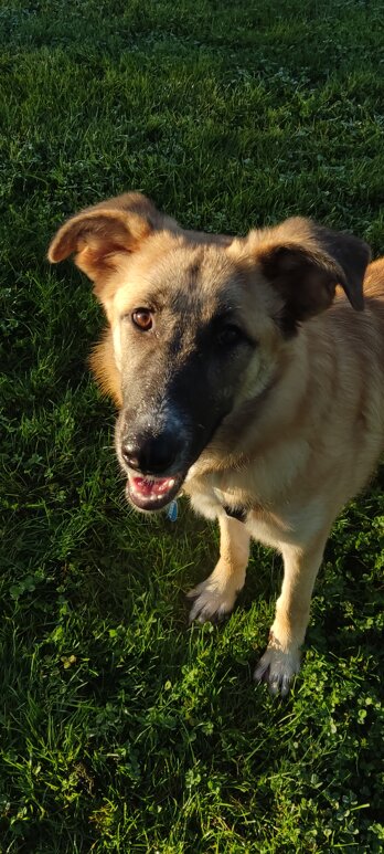 img_20251024_091404_1.jpeg img_20251024_091404_1.jpeg