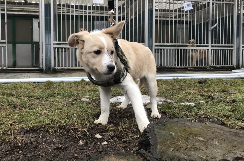 Femmina nata a Settembre 2018