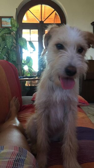 RITROVATA! GRAZIE A TUTTI