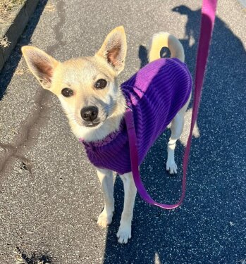 img-20251129-wa0062.jpeg img-20251129-wa0062.jpeg