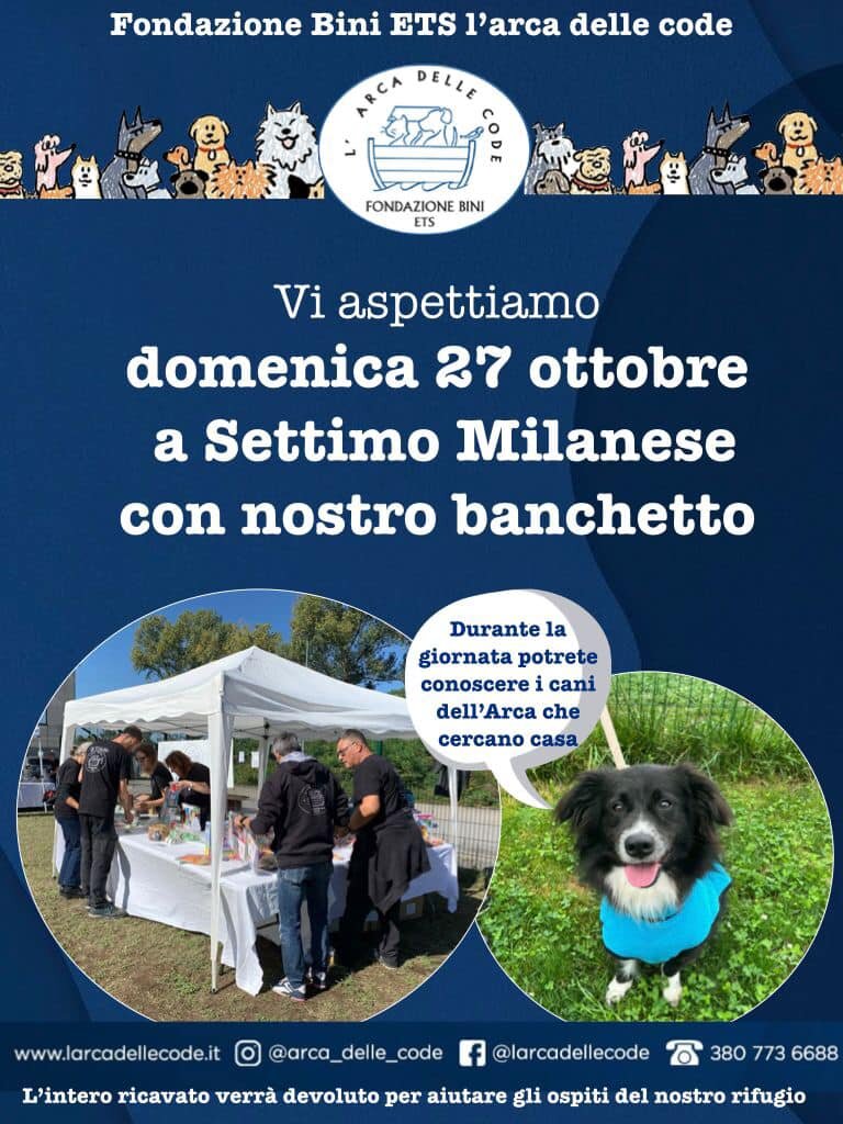 d8ecdb16-aa1e-4ada-b533-315adbe5c08e