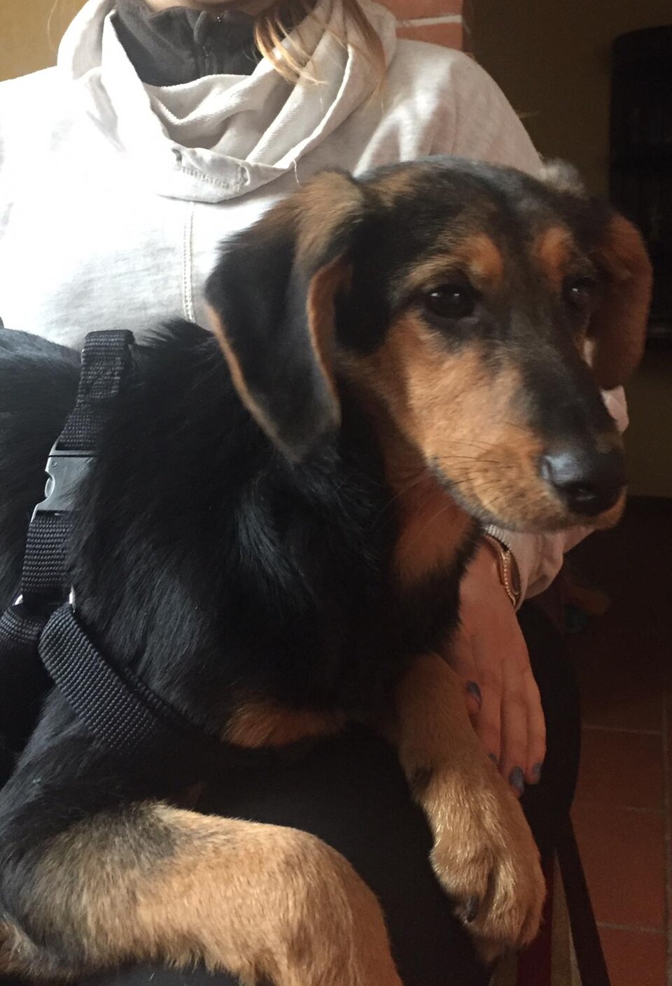 Femmina nata in Settembre 2018