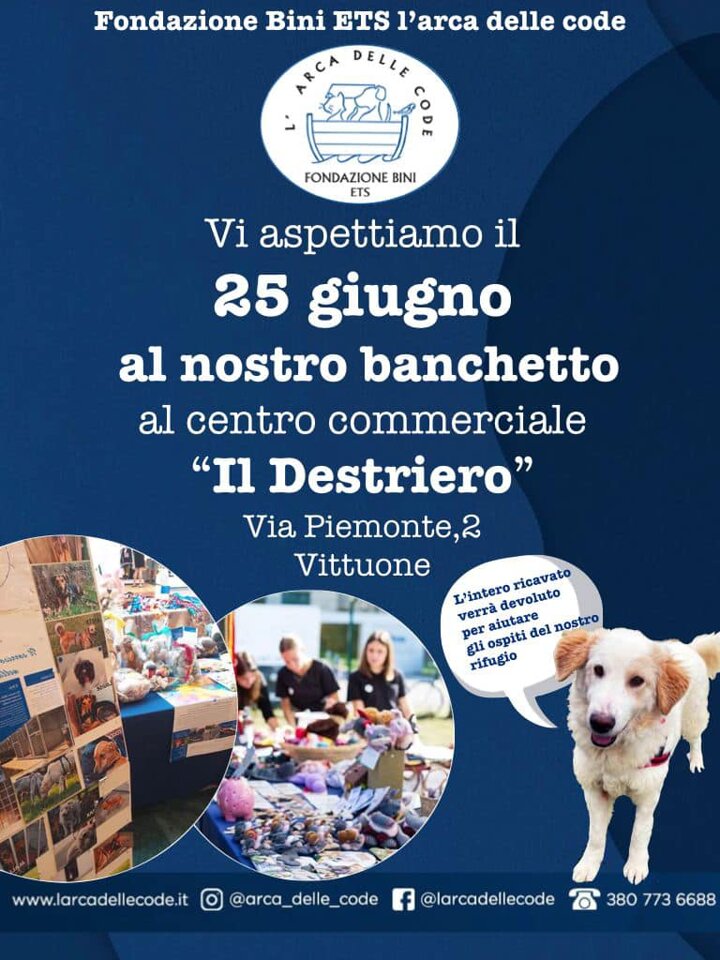 69ae76ba-d6e3-48eb-a09b-465518e0172e