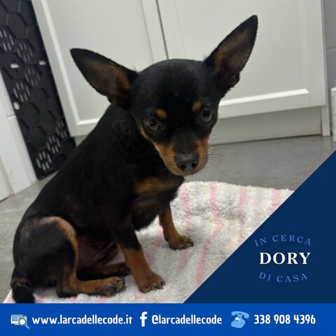 191849ba-c0f3-4f3f-96ae-95444755914e