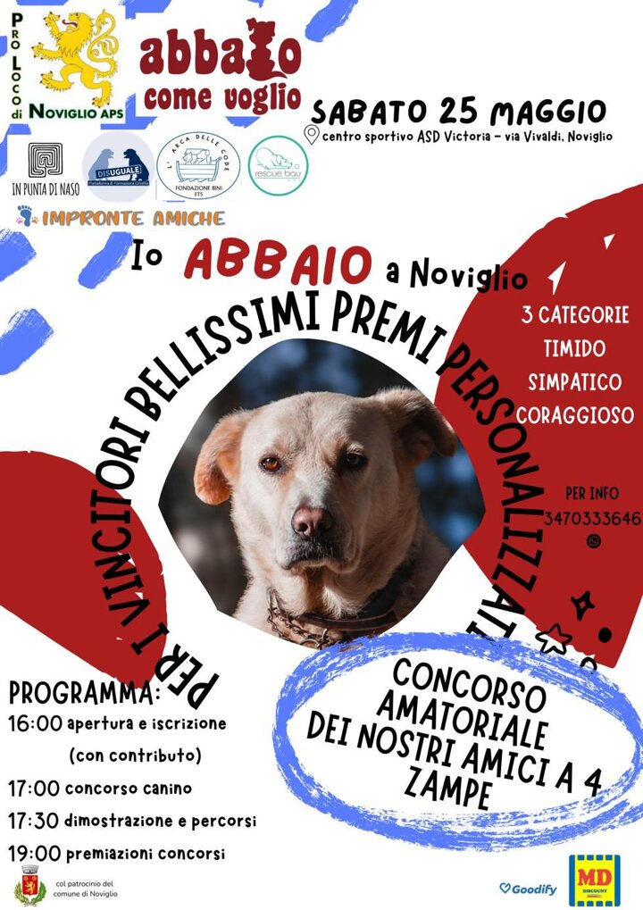 e51f7b8b-d842-4945-bb68-249321a179e5