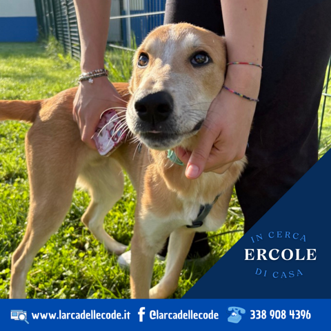 e286d0b6-1359-4211-b6b0-9049a59f6281