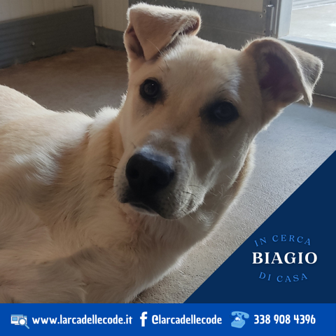 648b639a-a14d-4c61-9201-091e14661212