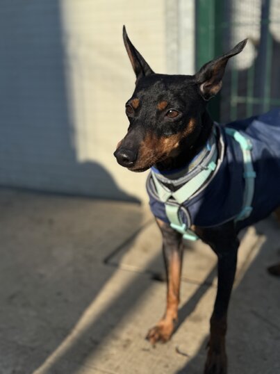 Maschio, nato a gennaio 2023