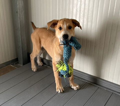 eaaba18a-1d6f-4433-90f3-8ba4e29e7be8