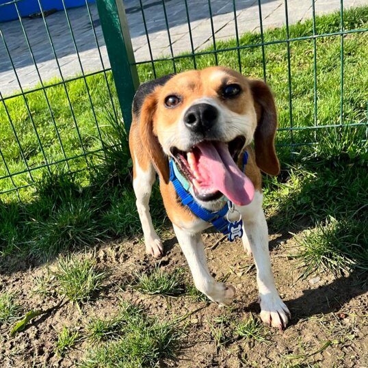 Femmina, nata a febbraio 2022