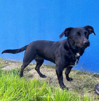 1c4b4ea6-9e35-4bcd-a79d-0fc5e0cba56e.jpeg 1c4b4ea6-9e35-4bcd-a79d-0fc5e0cba56e.jpeg