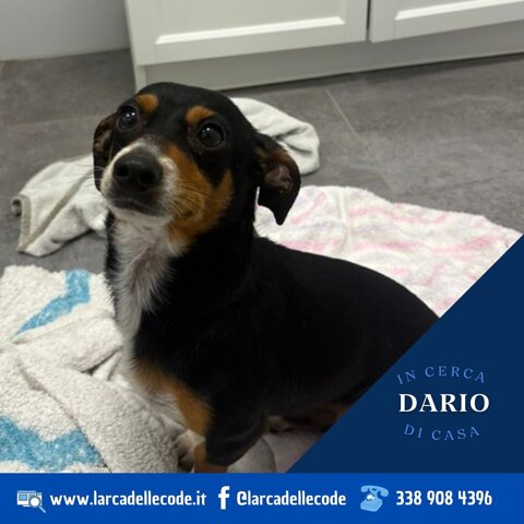 80b72f85-dad1-4719-a20b-125303334b91