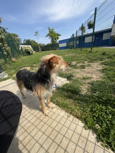 Femmina, nata a maggio 2024