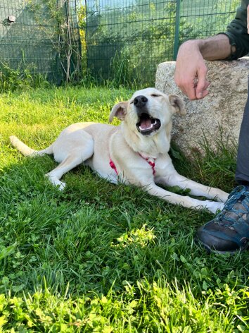 img-20250428-wa0028.jpeg img-20250428-wa0028.jpeg