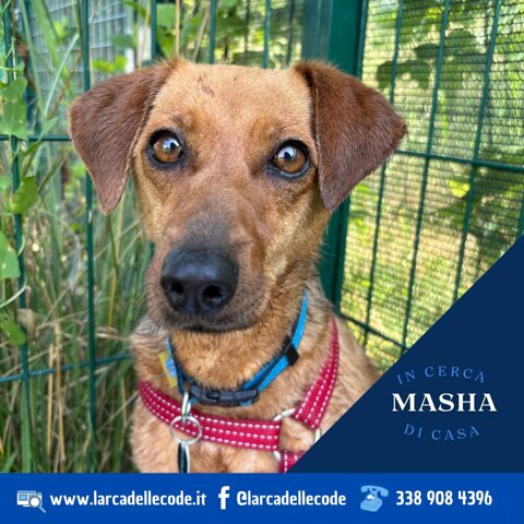 c4ab6423-bfd8-43b1-9ef5-196cef696e21