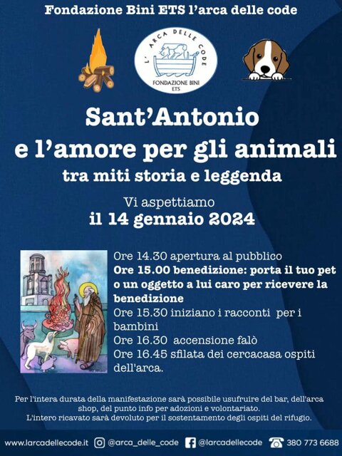 51a1a326-291c-485f-9907-825551d345cb