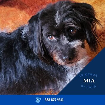 f4beb8fb-ae08-4c05-b502-bd0afcd8c2ab f4beb8fb-ae08-4c05-b502-bd0afcd8c2ab