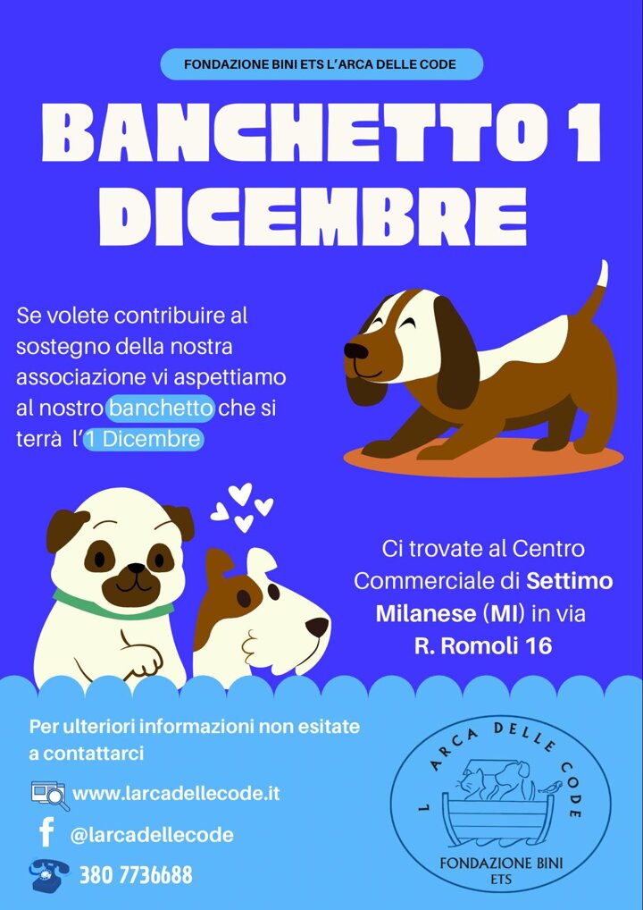 a2591485-41fb-4ede-833e-af190d8dde73