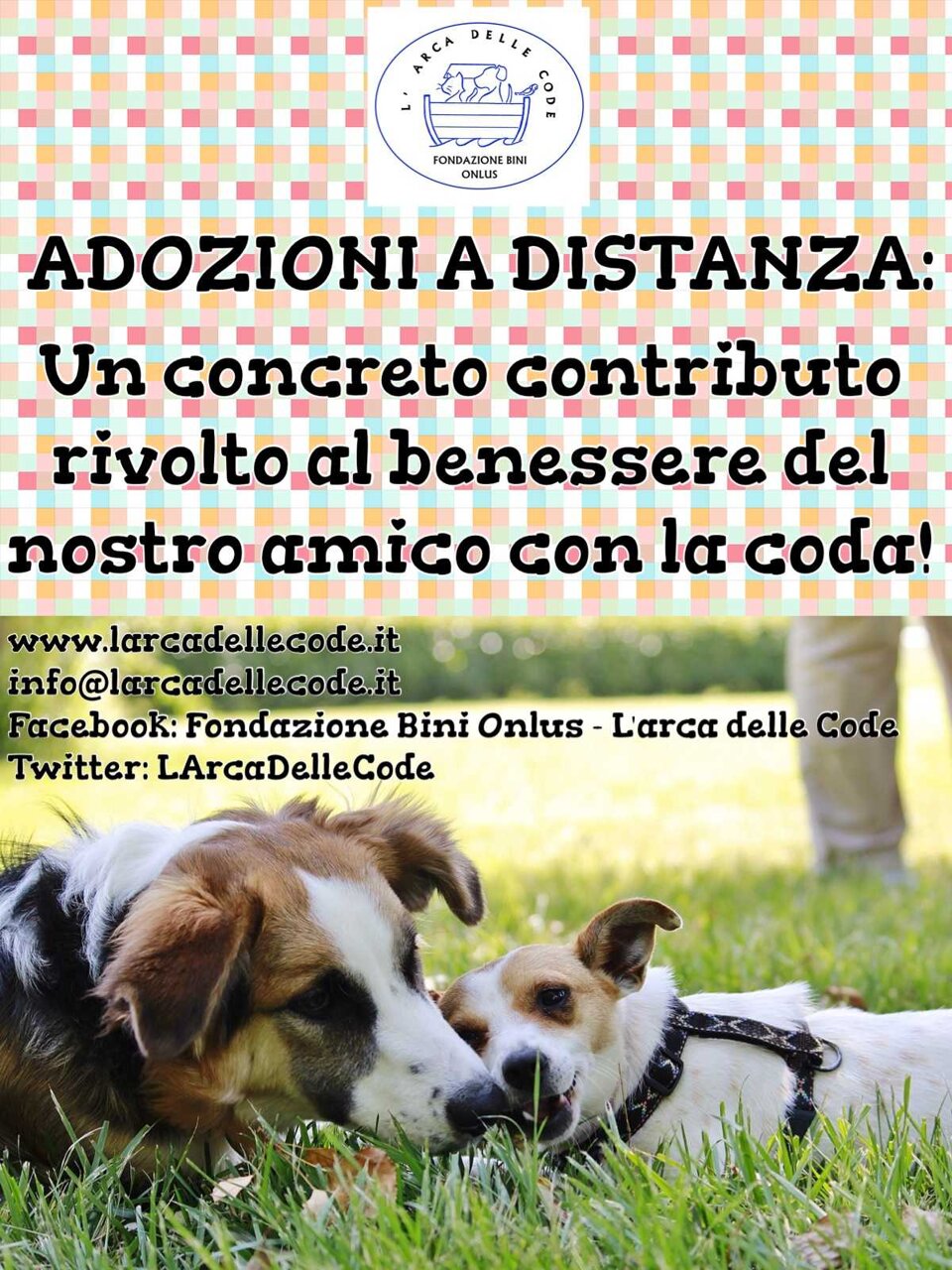 fb116a2f-a4f8-4c2b-bab8-fa231164d563