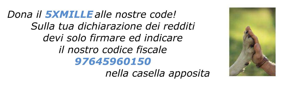 744b86e5-14f9-4d62-a25a-c9a6065d5f2e 744b86e5-14f9-4d62-a25a-c9a6065d5f2e