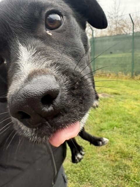 97ffd7ec-8992-4d9f-85ee-1e110dbb2b89_4_5005_c.jpeg 97ffd7ec-8992-4d9f-85ee-1e110dbb2b89_4_5005_c.jpeg