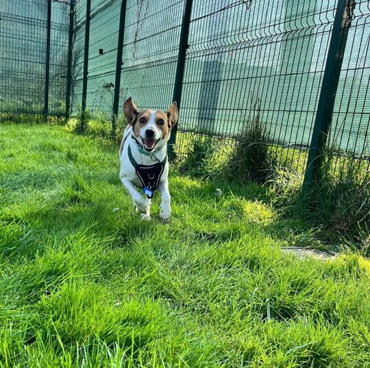 Femmina, nata a dicembre 2019