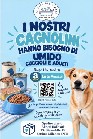 donazione cibo.jpeg