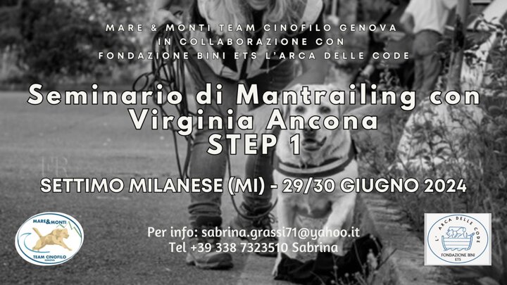 e7069a44-ada1-4a9f-ac91-8cf8b86bdbc2