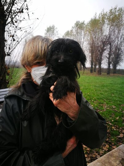 ADOTTATA! Isola, Femmina, nata a dicembre 2017. Taglia piccola.