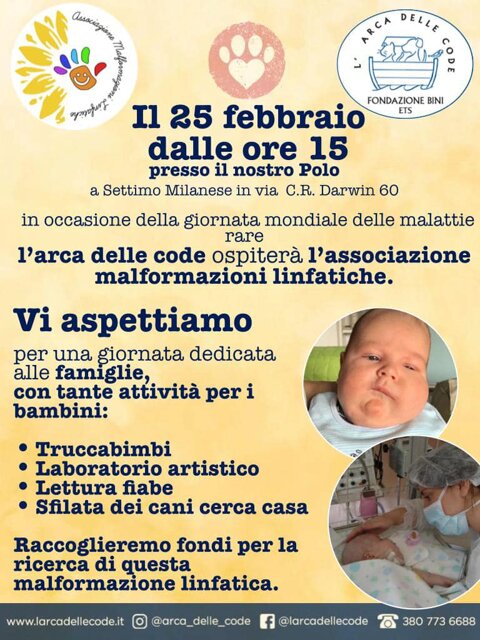 84304585-38bb-4297-98e0-240b52d89f22