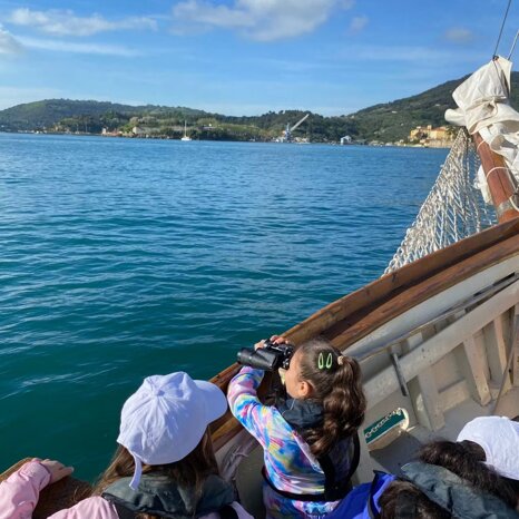 773dd6ab-e46e-407b-b043-a244878f98ea