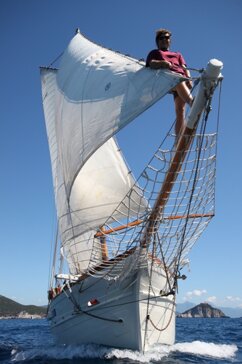 00fabfa4-66ff-471e-a0bf-267f0b6c76e1