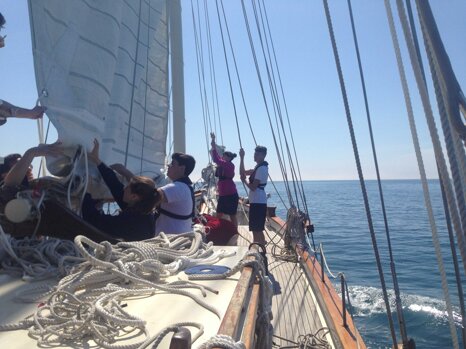 cb551d36-77b3-40dc-b128-7bb3ffbc0534