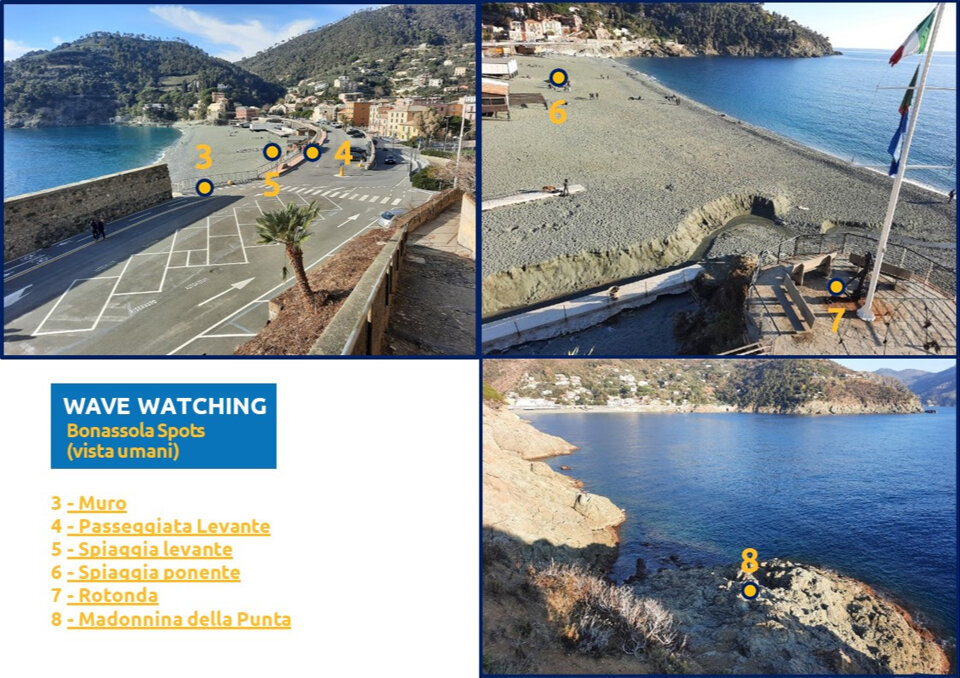 bcd6a2d2-71e9-4510-a4f4-d79ea7c72630