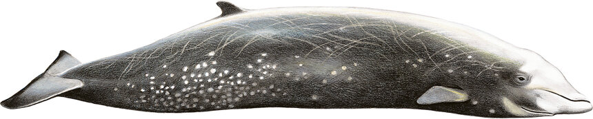 a016244b-00df-47bd-9c05-0d90cfafdaa3