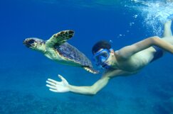 c4acc51d-973f-4f4f-b93d-7efd4ed593ac