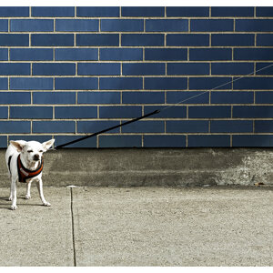 548%20d.jpeg 548%20d.jpeg