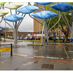 469%20d.jpeg 469%20d.jpeg