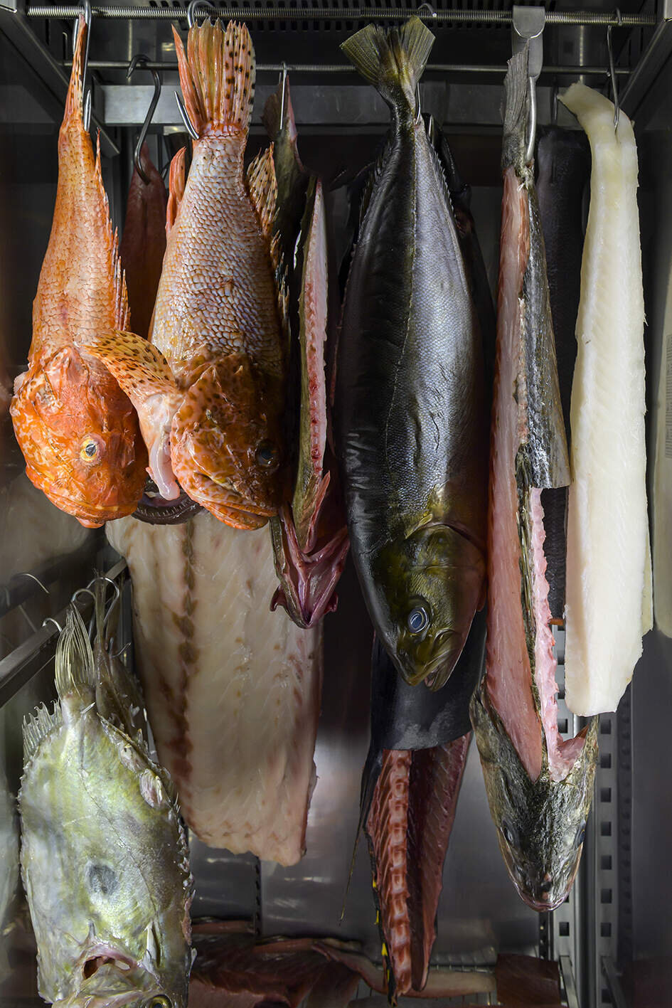 a0fa05f4-c735-451c-a538-34a0a21fa281