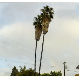 cc942feb-93d0-4fa5-8a66-f5c5fd1055a7 cc942feb-93d0-4fa5-8a66-f5c5fd1055a7