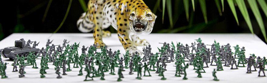 6961c1e4-9347-4a81-92a2-9b86a53c146d