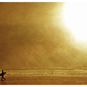 629%20con%20pallini.jpeg 629%20con%20pallini.jpeg